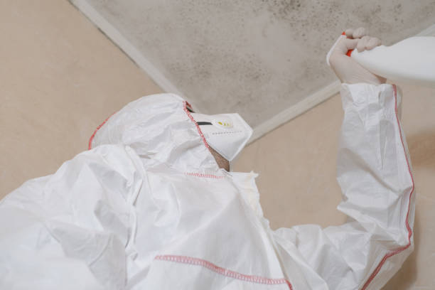 Best Mold Remediation for Healthcare Facilities  in Jamestown, NY